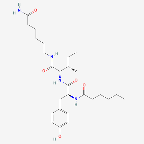 Dihexa 5mg (60 Capsules) image 1